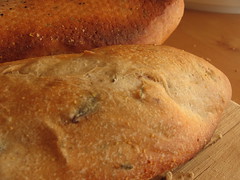 Olive Thyme Baguettes