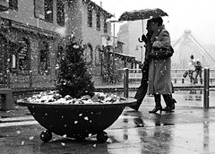 Let it snow I by ACPinho