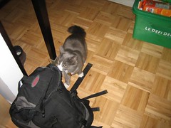 mimi loves bag