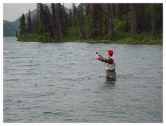 Fly fishing - Chena River State Recreation Area Fairbanks - CLICK TO ENLARGE