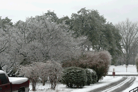 20080212-snow-day