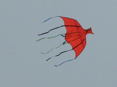 20080210-蝙蝠風箏-15