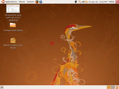 my-ubuntu-from-gutsy-to-hardy