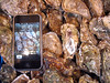 Oyster iPhone