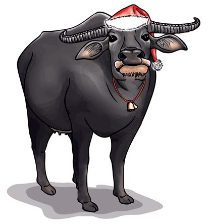 Rudolph the Red-Nosed Water Buffalo