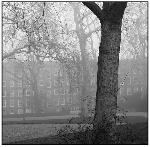 Foggy London Morning