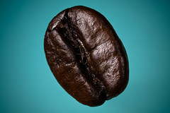 A Coffee Bean 1