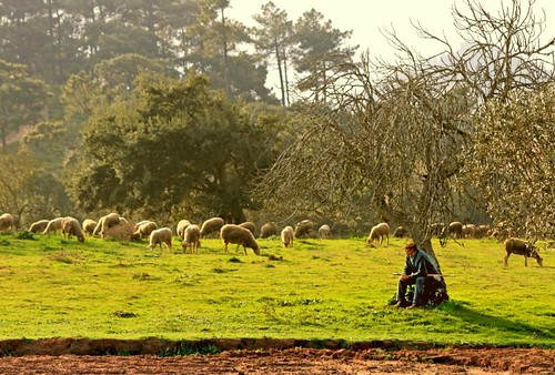 Los pastores de la Serra da Estrela