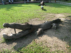 20071019-鱷魚作品-15