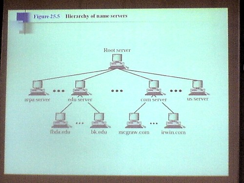 DNS sustav
