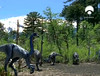 04 ornithomimus flock