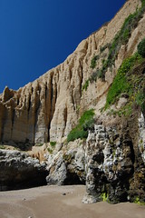 20080316 Sea Cliff in Spring