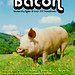 Rebirth DJ Crew "Bacon" flyers / MonkeyManWeb.com