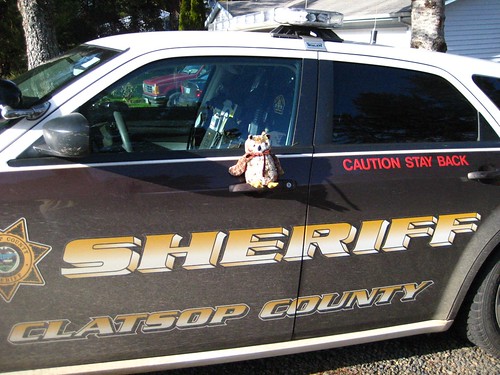 Oscar patrols Clatsop County