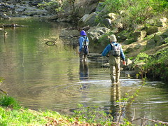 Fly Fishermen in Four Mile Run at Bluemont Park