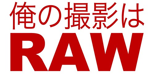 I Shoot RAW Japan Charity Shirt