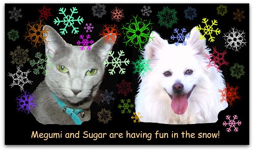 Megumi and Sugar are having fun in the snow!