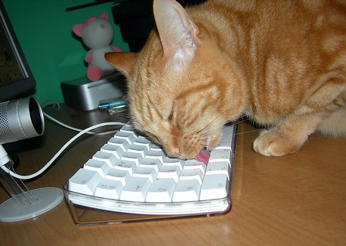 Keyboard cleaning