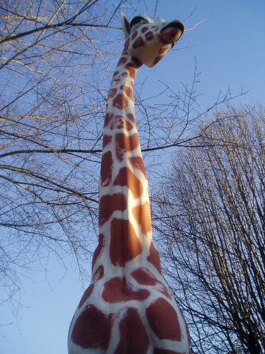 giraffe again
