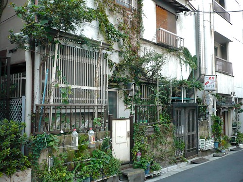 Small house near Shibuya
