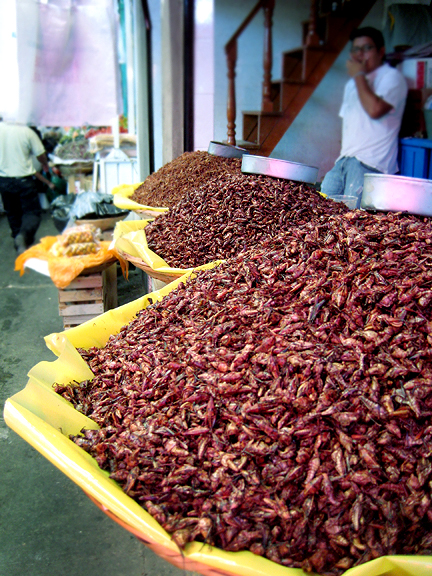 Chapulines in Oaxacan Market