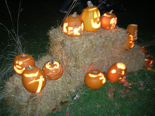 The group where my pumpkin resided.
