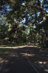 松原の遊歩道