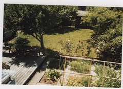 Side Yard From Above Birdroom