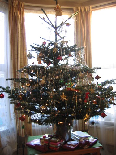 07 12 25 Dec Christmas Day tree 016