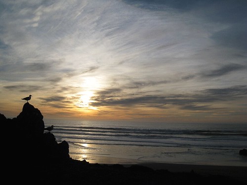 Sunset at Bodega Bay