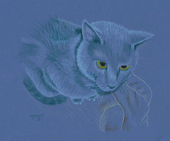 Blue Katie Cat by Sydney Harper