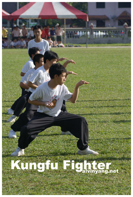 Kungfu fighter