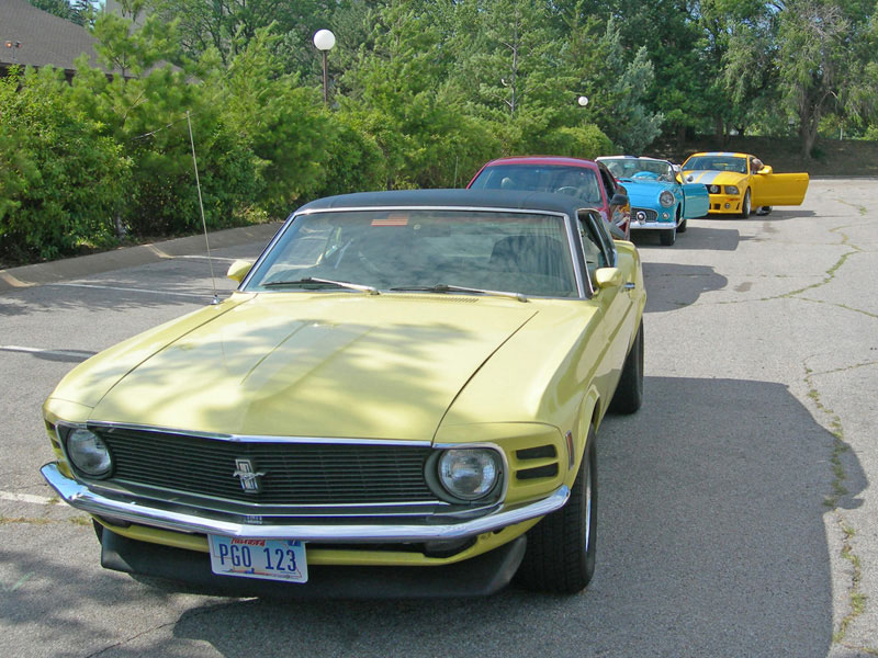 Mustang in line
