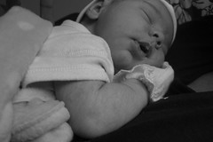 Newborn, Briana 8 days old (Amber Q) Tags: newborn 8daysold sleepingnewborn sleepingnewbornbriana