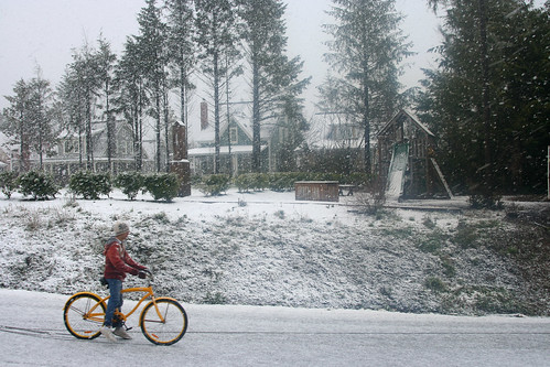 Cyclist in Snow