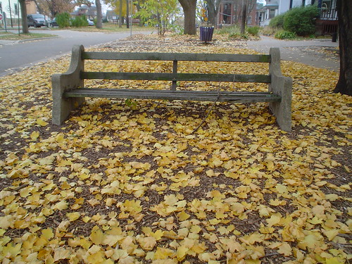 bench in leaves
