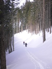 Brauneck Skitour