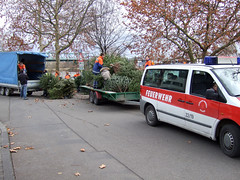 Weihnachtsbaumsammlung 2008 - 12.01.08