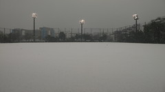 雪 in 野球場