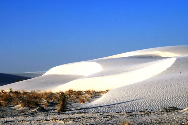 Early Morning At White Sands