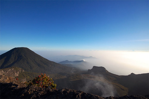 misteri tersembunyi gunung Gede Pangrango, bukit kembah angker di Indonesia, kisah seram puncak gunung