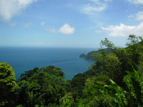 Die Nordküste von Trinidad