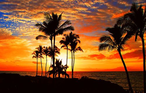 Tropical Sunset by janruss
