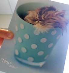Nap Often - my goodbye card