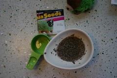 soak your chia seeds