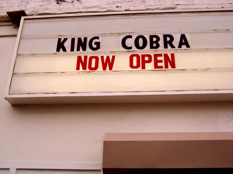 newly opened King Cobra.