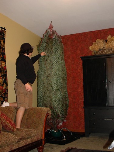 Bundled Christmas tree