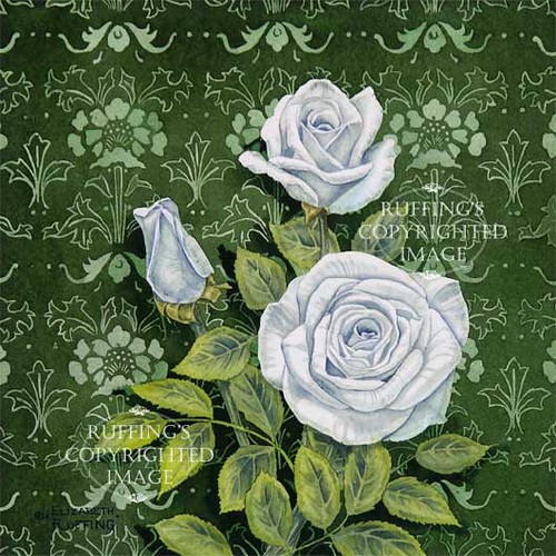 "Innocence" ER14 by Elizabeth Ruffing White Roses Floral