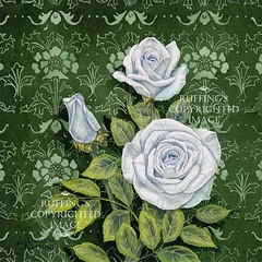 ER14 "Innocence" by Elizabeth Ruffing, White Rose Floral