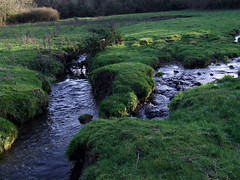 Rose Gill and the Cowfield burn